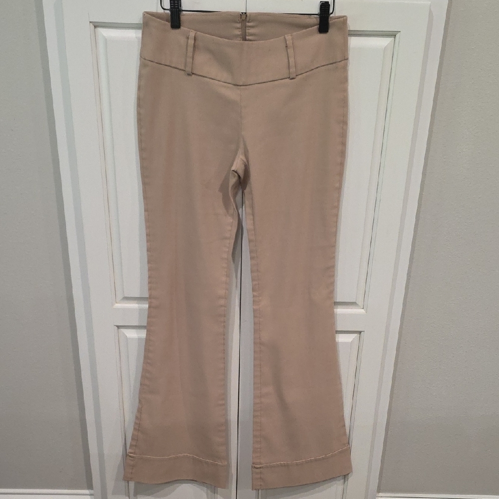 Wild Cat Dress Pants